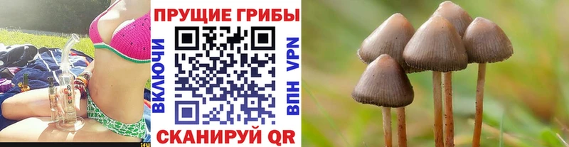 гидра как войти  купить наркотики цена  Сургут  Галлюциногенные грибы Magic Shrooms 